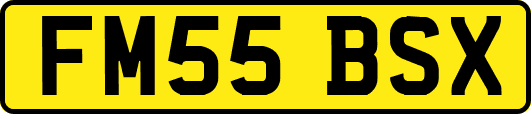 FM55BSX
