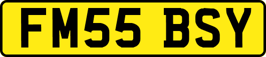 FM55BSY