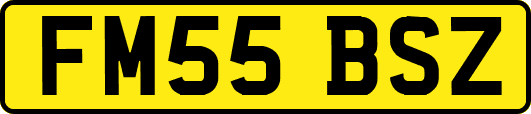 FM55BSZ