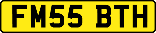 FM55BTH