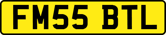 FM55BTL