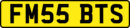 FM55BTS