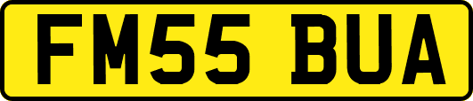 FM55BUA
