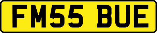 FM55BUE