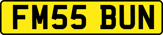 FM55BUN