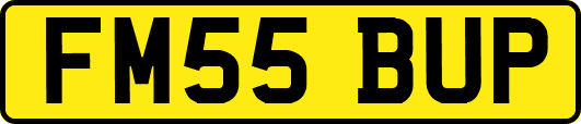 FM55BUP