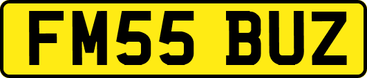 FM55BUZ