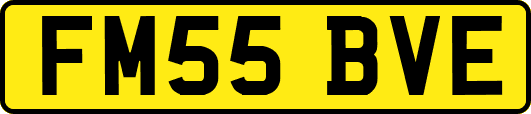 FM55BVE