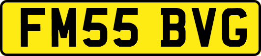 FM55BVG