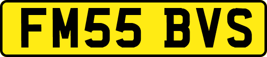 FM55BVS