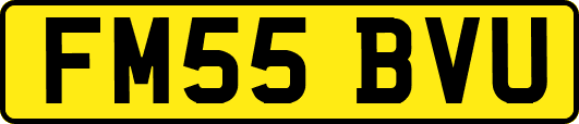 FM55BVU