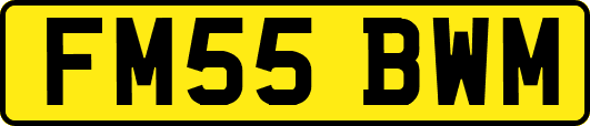 FM55BWM