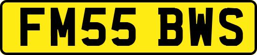 FM55BWS
