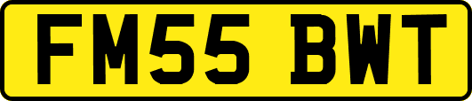 FM55BWT