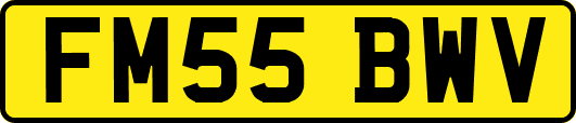 FM55BWV