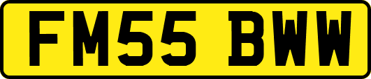 FM55BWW