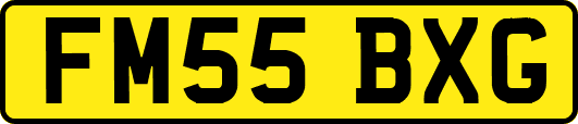FM55BXG