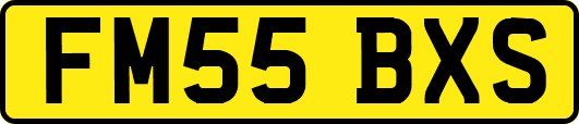 FM55BXS