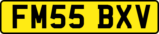 FM55BXV