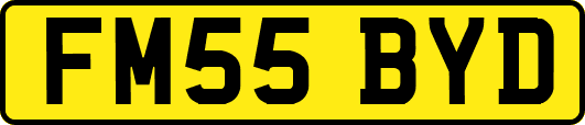 FM55BYD