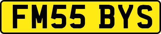 FM55BYS