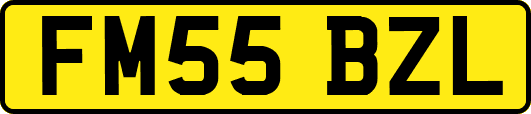 FM55BZL