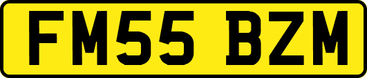 FM55BZM