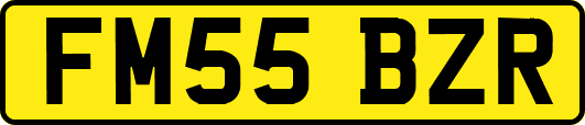 FM55BZR
