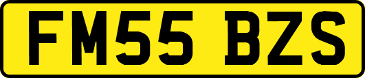 FM55BZS