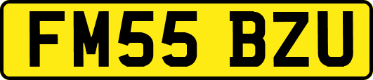 FM55BZU