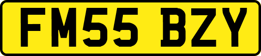 FM55BZY