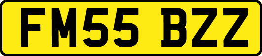 FM55BZZ