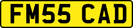 FM55CAD