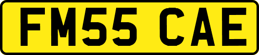FM55CAE
