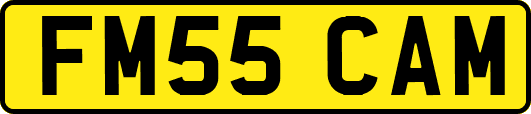 FM55CAM
