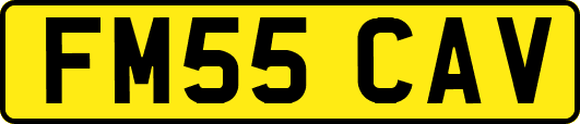 FM55CAV