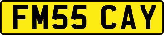 FM55CAY