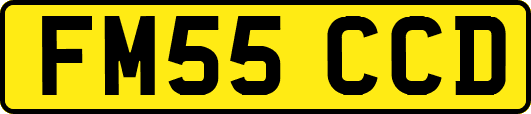 FM55CCD