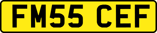 FM55CEF