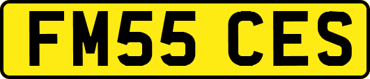 FM55CES