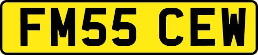 FM55CEW