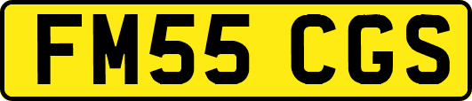 FM55CGS