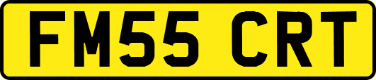 FM55CRT