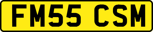 FM55CSM