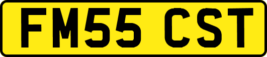 FM55CST
