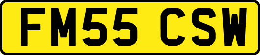 FM55CSW