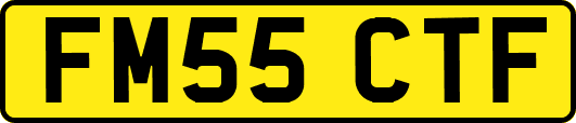 FM55CTF