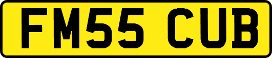 FM55CUB