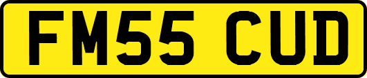 FM55CUD