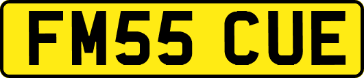 FM55CUE